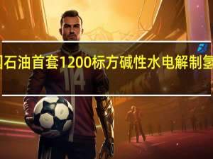 中国石油首套1200标方碱性水电解制氢系统交付