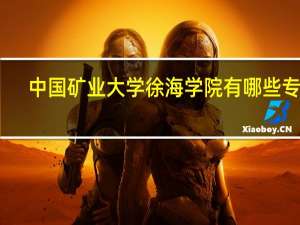 中国矿业大学徐海学院有哪些专业