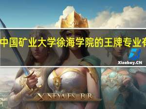 中国矿业大学徐海学院的王牌专业有哪些