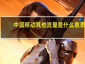 中国移动其他流量是什么意思