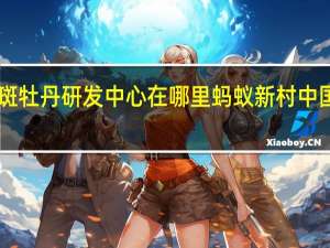 中国紫斑牡丹研发中心在哪里 蚂蚁新村中国紫斑牡丹12.27