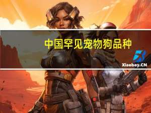 中国罕见宠物狗品种