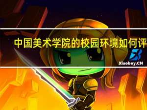中国美术学院的校园环境如何评价