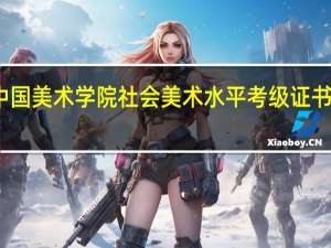 中国美术学院社会美术水平考级证书的作用