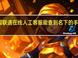 中国联通在线人工客服能查到名下的手机号码吗（中国联通在线人工客服）