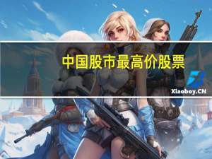 中国股市最高价股票