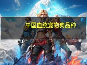 中国血统宠物狗品种