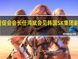 中国贸促会会长任鸿斌会见韩国SK集团副会长徐镇宇