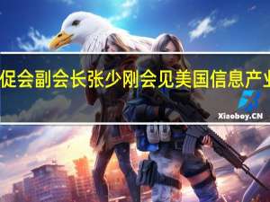 中国贸促会副会长张少刚会见美国信息产业机构代表团
