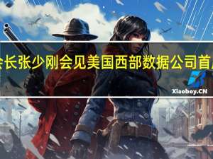 中国贸促会副会长张少刚会见美国西部数据公司首席执行官戴维•高柯勒