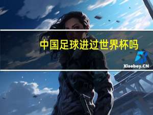 中国足球进过世界杯吗