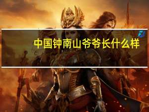 中国钟南山爷爷长什么样