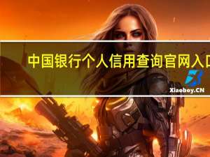 中国银行个人信用查询官网入口（中国银行个人信用查询）