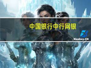 中国银行中行网银（中银行国网上银行）