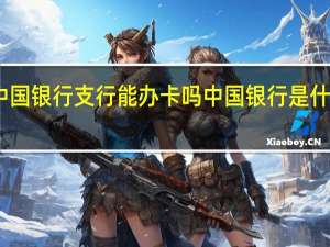 中国银行支行能办卡吗中国银行是什么银行
