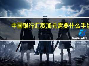 中国银行汇款加元需要什么手续（中国银行汇款单）