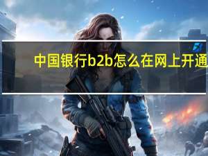 中国银行b2b怎么在网上开通