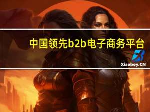 中国领先b2b电子商务平台