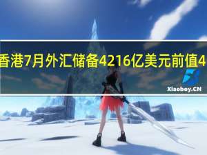 中国香港7月外汇储备 4216亿美元前值4173亿美元