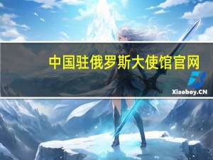中国驻俄罗斯大使馆官网（如果中国和俄罗斯开战）