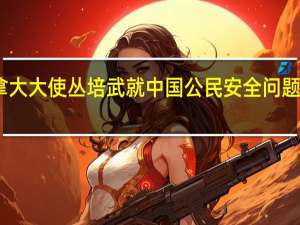 中国驻加拿大大使丛培武就中国公民安全问题做加外交部工作