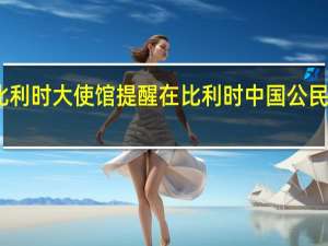 中国驻比利时大使馆提醒在比利时中国公民加强安全防范