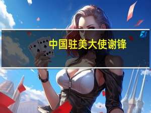 中国驻美大使谢锋：中美脱钩是最大风险两国对抗是最大不安全