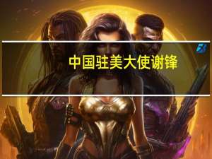 中国驻美大使谢锋：就矛盾分歧多做“减法” 为对话合作多做“加法”