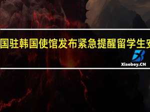 中国驻韩国使馆发布紧急提醒 留学生安全指南