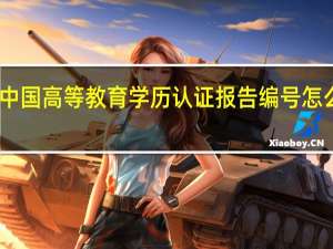 中国高等教育学历认证报告编号怎么知道（中国高等教育学历认证报告编号怎么查）