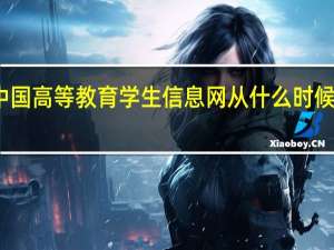中国高等教育学生信息网从什么时候开始的