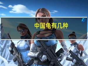 中国龟有几种