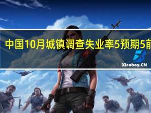 中国10月城镇调查失业率 5%预期 5%前值 5%