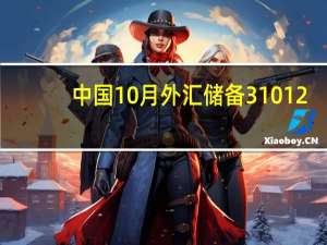 中国10月外汇储备31012.2亿美元预期31025亿美元前值31150亿美元