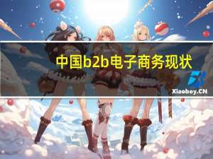 中国b2b电子商务现状