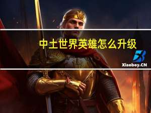 中土世界英雄怎么升级