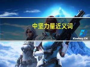 中坚力量近义词