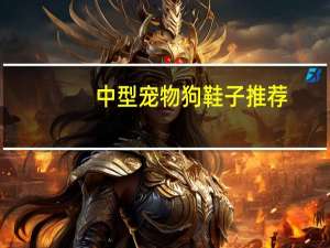 中型宠物狗鞋子推荐