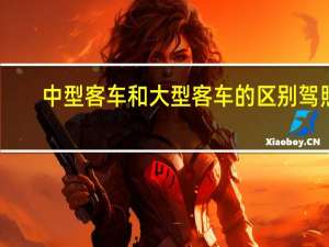 中型客车和大型客车的区别驾照（中型客车和大型客车的区别）