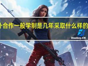 中外合作一般学制是几年采取什么样的授课方式