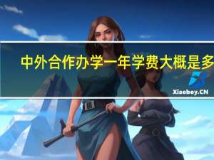 中外合作办学一年学费大概是多少