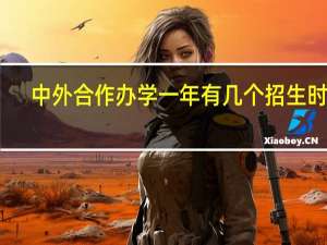 中外合作办学一年有几个招生时段