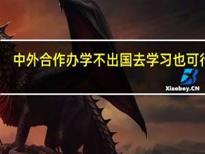 中外合作办学不出国去学习也可行吗