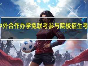 中外合作办学免联考参与院校招生考试即可