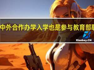中外合作办学入学也是参与教育部联考吗