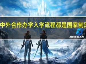 中外合作办学入学流程都是国家制定的吗