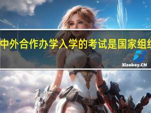 中外合作办学入学的考试是国家组织的吗