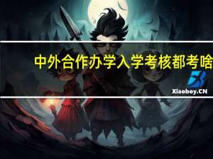 中外合作办学入学考核都考啥