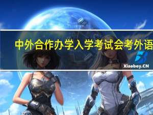 中外合作办学入学考试会考外语吗