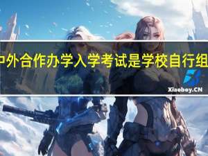 中外合作办学入学考试是学校自行组织的吗